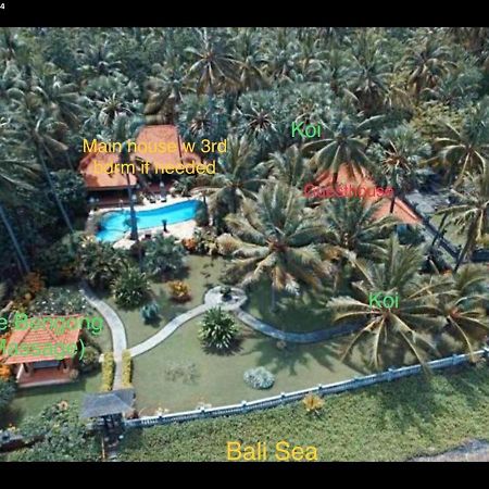 Bali North Beach B&B Tianyar Eksteriør bilde