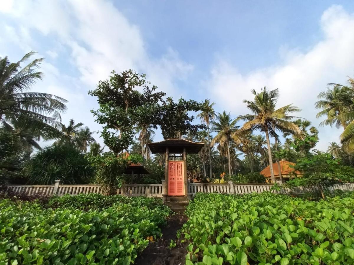 Bali North Beach B&B Tianyar Eksteriør bilde