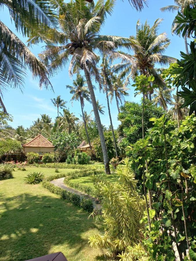 Bali North Beach B&B Tianyar Eksteriør bilde