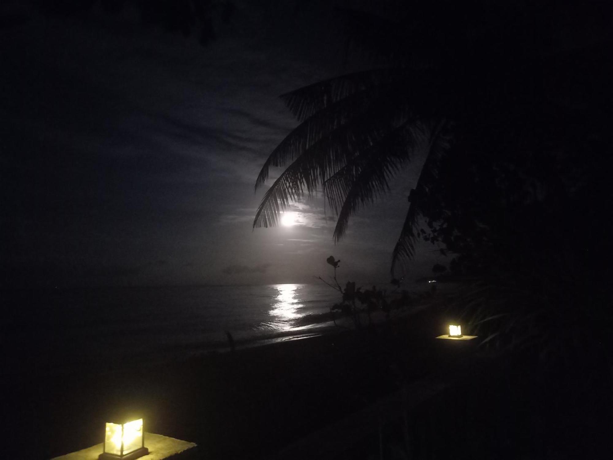 Bali North Beach B&B Tianyar Eksteriør bilde